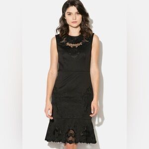 🔥 Ted Baker Chrysa Black Embroidered Dress NWT